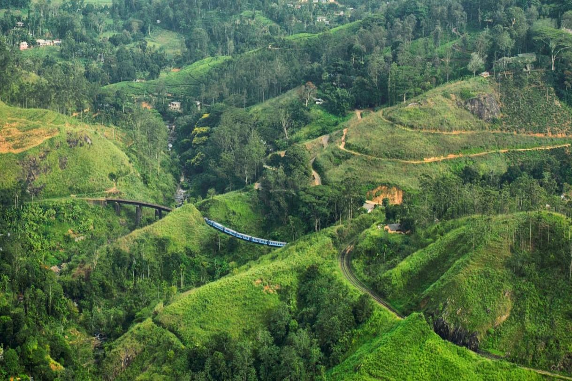 Standard Post with Image