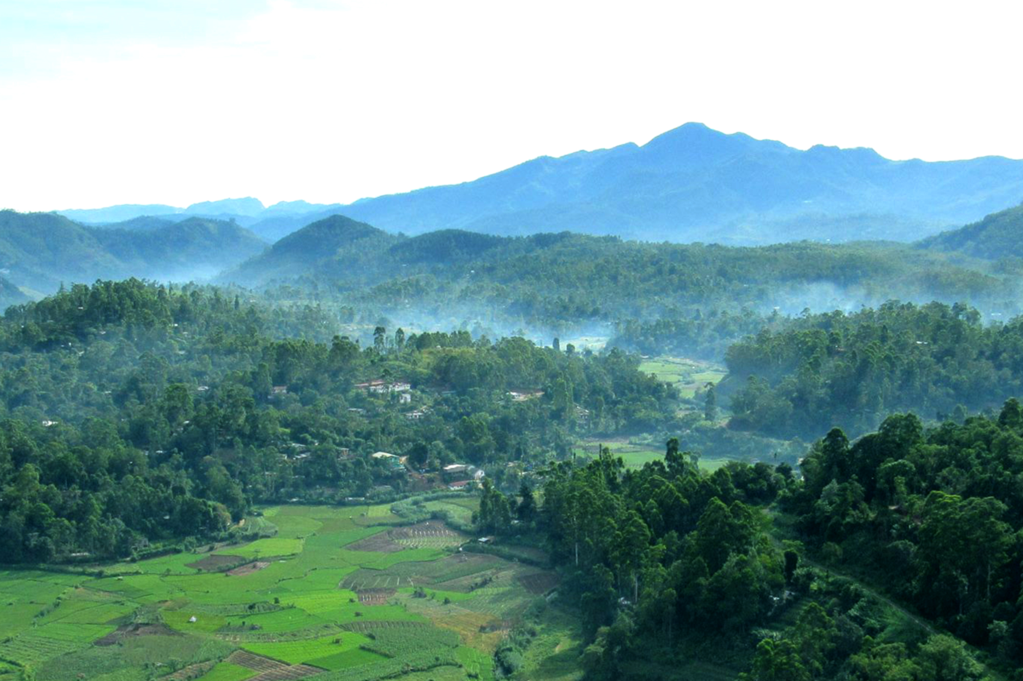 Standard Post with Image